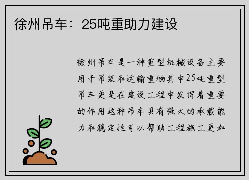 徐州吊车：25吨重助力建设