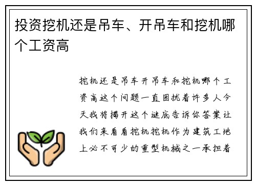 投资挖机还是吊车、开吊车和挖机哪个工资高