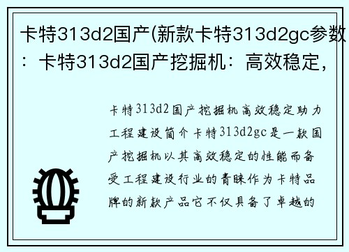 卡特313d2国产(新款卡特313d2gc参数：卡特313d2国产挖掘机：高效稳定，助力工程建设)
