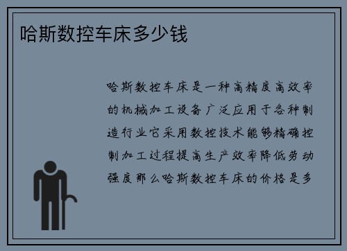 哈斯数控车床多少钱